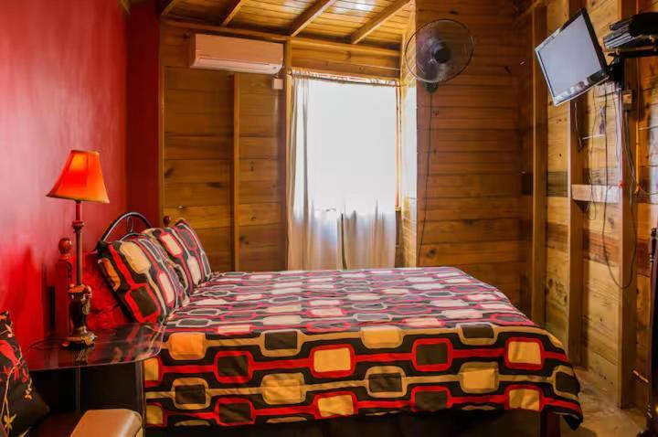 One32 Guesthouse Bejeweled كينغستون المظهر الخارجي الصورة